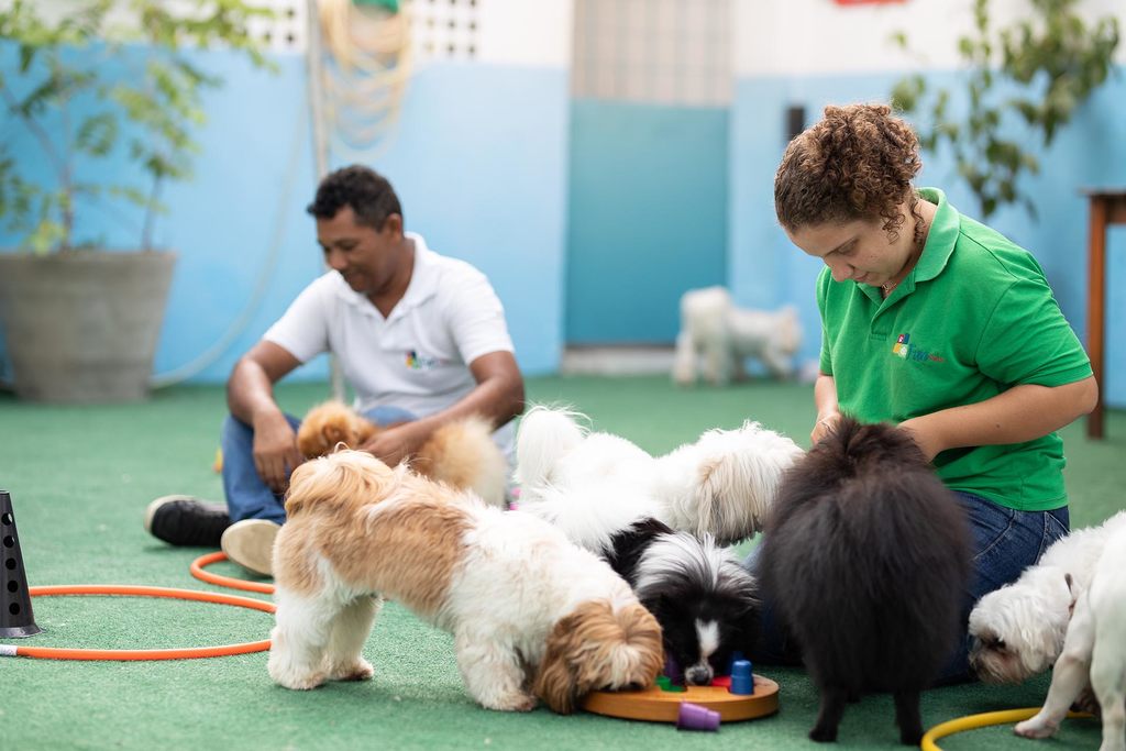 coo-agregar-servicos-de-pet-shop